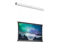 Da-Lite Tensioned DescenderPro - Projektorduk - motoriserad - 230 V - 158.27" (402 cm) - 16:9 - HD Progressive 1.3 - RAL 9016 10101634