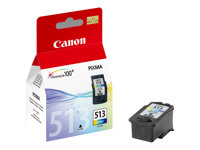 Canon CL-513 - Färg (cyan, magenta, gul) - original - förpackning med stöldmärkning - bläcktank - för PIXMA MP230, MP237, MP252, MP258, MP272, MP280, MP282, MP495, MP499, MX360, MX410, MX420 2971B009