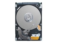 Dell - Kundsats - hårddisk - 12 TB - hot-swap - 3.5" - SAS 12Gb/s - nearline - 7200 rpm - för PowerEdge C6420 (3.5") 401-ABHX