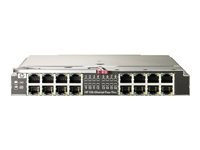 HPE 1Gb Ethernet Pass-Thru Module - Expansionsmodul - Gigabit Ethernet x 16 - för BLc3000 Enclosure; BLc7000 Three-Phase Enclosure; ProLiant c3000 406740-B21