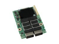 Intel - Expansionsmodul - PCIe 3.0 x8 - InfiniBand - 2 portar AXX2FDRIBIOM
