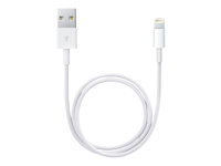 Apple - Lightning-kabel - Lightning hane till USB hane - 50 cm ME291ZM/A