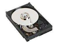 Dell - Hårddisk - 1 TB - inbyggd - 2.5" - SATA 3Gb/s - 7200 rpm - för Precision R5500 (2.5") 400-23157