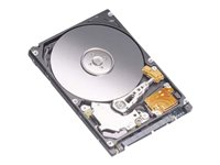 Dell - Hårddisk - 750 GB - SATA 1.5Gb/s - 7200 rpm 400-22176