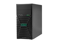 HPE ProLiant ML30 Gen11 - tower Xeon 6325P 3.5 GHz - 32 GB - SSD 2 x 960 GB P87463-425