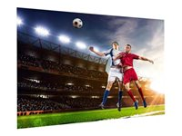 Da-Lite FullVision - Projektorduk - väggmontering - 108" (269 cm) - 16:9 - HD Progressive 1.1 Contrast 10600831