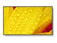 NEC MultiSync M551-2 - 55" Diagonal klass (54.5" visbar) - M Series LED-bakgrundsbelyst LCD-skärm - digital skyltning - med inbyggd mediaplayer / valfri slot-in PC-funktionalitet - 4K UHD (2160p) 3840 x 2160 - HDR - direktupplyst LED - pantone 426M 60006085
