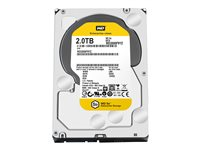 WD SE WD2000F9YZ - Hårddisk - 2 TB - inbyggd - 3.5" - SATA 6Gb/s - 7200 rpm - buffert: 64 MB WD2000F9YZ