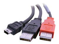 C2G 2m USB 2.0 One Mini-B Male toTwo A Male Y Cable - USB-kabel - mini-USB typ B (hane) till USB, USB (endast ström) (hane) - USB 2.0 - formpressad 81577