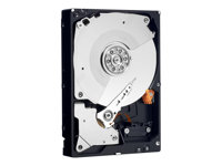 WD RE4 WD2503ABYX - Hårddisk - 250 GB - inbyggd - 3.5" - SATA 3Gb/s - 7200 rpm - buffert: 64 MB WD2503ABYX