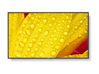 NEC MultiSync M431-2 - 43" Diagonal klass (42.5" visbar) - M Series LED-bakgrundsbelyst LCD-skärm - digital skyltning - med inbyggd mediaplayer / valfri slot-in PC-funktionalitet - 4K UHD (2160p) 3840 x 2160 - HDR - direktupplyst LED - pantone 426M 60006083