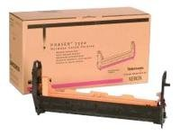 Xerox Phaser 7300 - Magenta - färgbildbehandlingsenhet för skrivare - för Phaser 7300B, 7300DN, 7300DT, 7300DX, 7300N 016199400