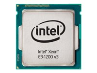 Intel Xeon E3-1220V3 - 3.1 GHz - 4 kärnor - 4 trådar - 8 MB cache - LGA1150 Socket - Box BX80646E31220V3