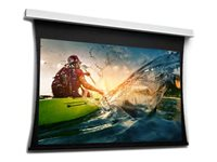 Da-Lite Tensioned DescenderPro - Projektorduk - takmonterbar - motoriserad - 181" (460 cm) - 16:10 - HD Progressive 1.3 - RAL 9016 10104726