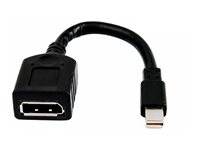 HP - DisplayPort-adapter - Mini DisplayPort (hane) till DisplayPort (hona) - för Elite 800 G9; Workstation Z2 G8, Z2 G9, Z4 G5, Z6 G5; ZBook Fury 15 G8, 16 G9, 17 G8 2MY05AA