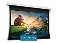 Da-Lite Tensioned DescenderPro - Projektorduk - takmontering - motoriserad - 122" (310 cm) - 16:9 - Matte White (Tensioned) - RAL 9016 10106610