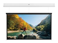 Da-Lite DescenderPro - Projektorduk - takmontering - motoriserad - 230 V - 97.64" (248 cm) - 16:10 - Matte White - matt vit, RAL 9016 10106797