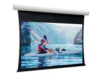 Da-Lite Tensioned Elpro Concept - Projektorduk - takmontering, väggmontering - motoriserad - 230 V - 112.99" (287 cm) - 16:9 - HD Progressive 1.1 - RAL 9016 10101187