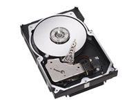 Dell - Hårddisk - 600 GB - inbyggd - 2.5" - SAS 12Gb/s - 15000 rpm - för PowerEdge C4130, C6320, C6420, M830, R220, T320, T630, VRTX; PowerVault MD3460, MD3860 400-AJRE