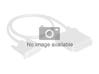 Lenovo - Extern SAS-kabel - 26 stift 4x Mini SAS (hane) till 36 pin 4x Mini SAS HD (SFF-8644) (hane) - 1.5 m - för Storwize V3700; Storwize V3700; System x3100 M5 00Y2461